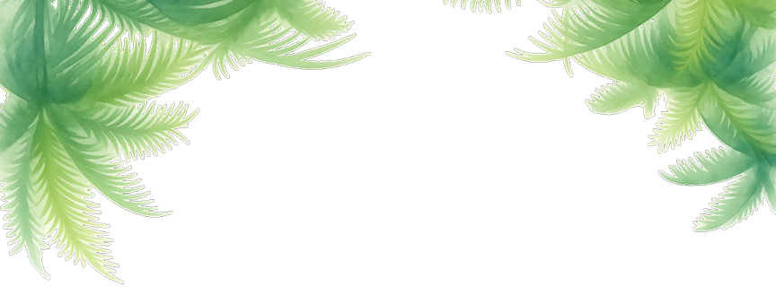 section background